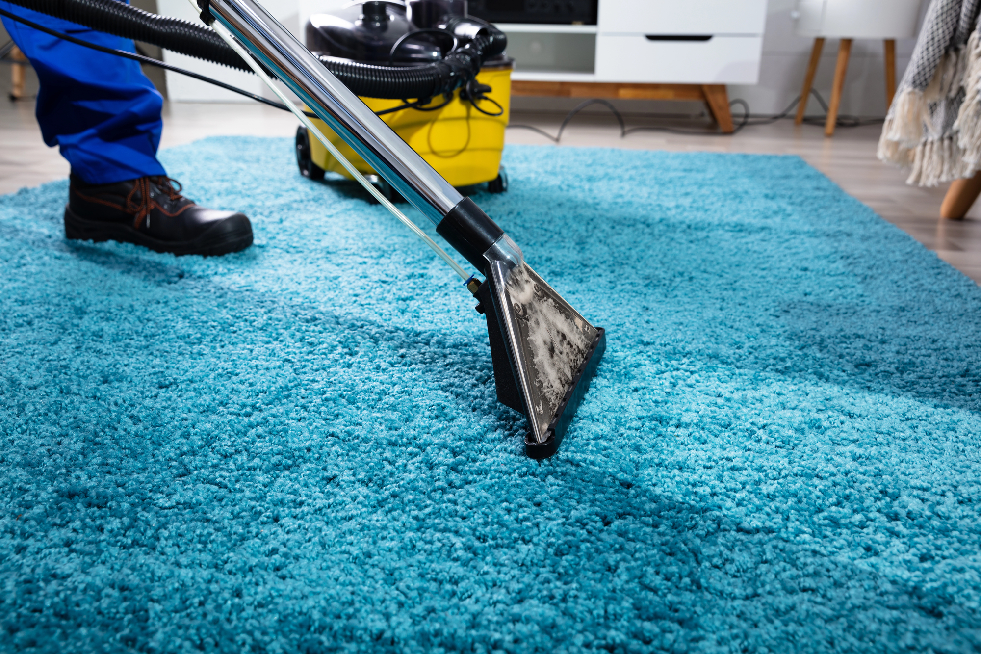 Professional carpet cleaning in Dallas, GA